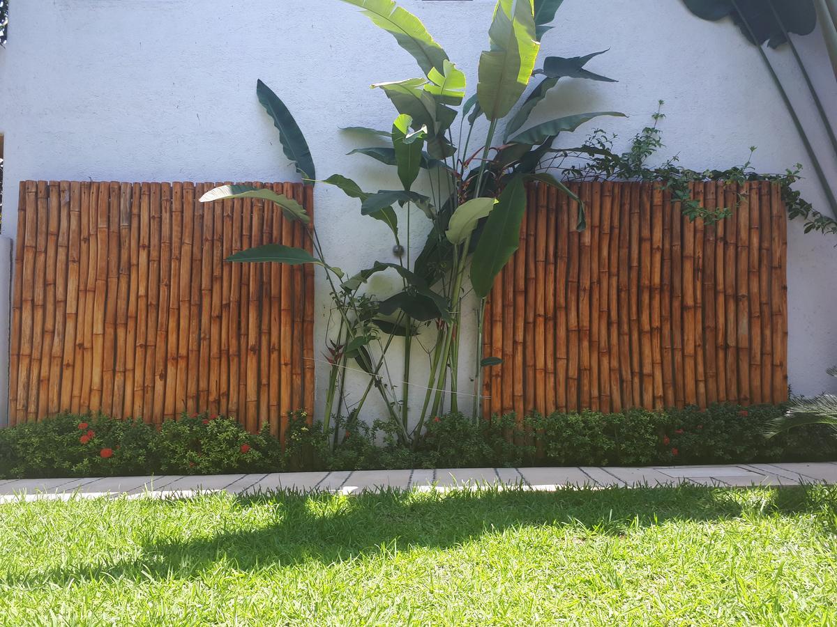 Casa Luz De Luna Appartement Zihuatanejo Buitenkant foto